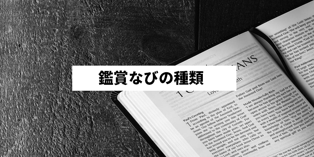 辛口 懸賞なびとは 口コミ 評判から当選するのかを徹底検証